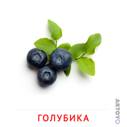 Карточка Домана Голубика — А4