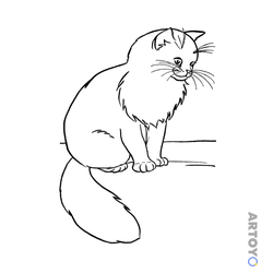 Раскраска Кошка сидит на дороге
