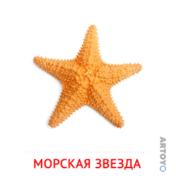 Карточки Домана на тему «Рыбы и другие морские обитатели — картинки для печати