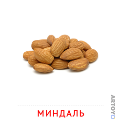 Карточки Домана на тему «Орехи и сухофрукты: карточка Домана Миндаль