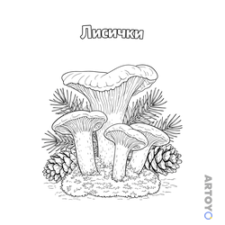 Грибы: раскраска Лисички