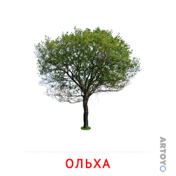 Карточка Домана Ольха, чёрно-белый контур