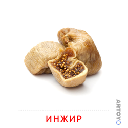 Карточки Домана на тему «Орехи и сухофрукты: карточка Домана Инжир