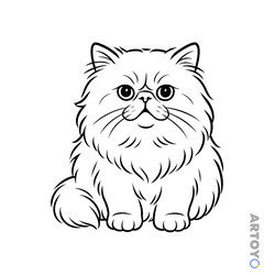 Раскраска «Персидская кошка» из категории Коты кошки, котят