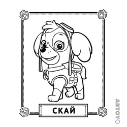 Раскраска Скай
