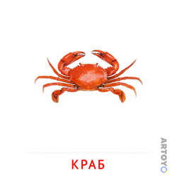 Карточка Домана Краб