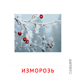Изморозь — карточка Домана для распечатки