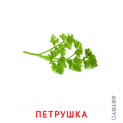 Карточка Домана «Петрушка» из категории Карточки Домана на тему «Овощи и травы