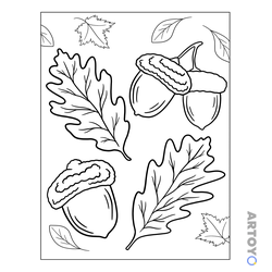 Жёлуди и листья — раскраска для распечатки