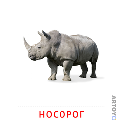 Карточки Домана для детей на тему «Животные: карточка Домана Носорог