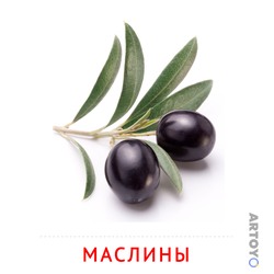 Карточка Домана «Маслины» из категории Карточки Домана на тему «Овощи и травы