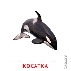 Карточка Домана «Косатка» из категории Карточки Домана для самых маленьких