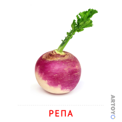Карточка Домана Репа