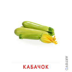 Карточки Домана на тему «Овощи и травы: карточка Домана Кабачок