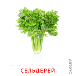 Карточка Домана «Сельдерей» из категории Карточки Домана на тему «Овощи и травы