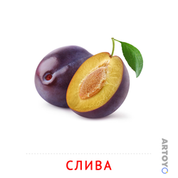 Карточка Домана Слива, чёрно-белый контур
