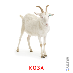 Коза — карточка Домана для распечатки